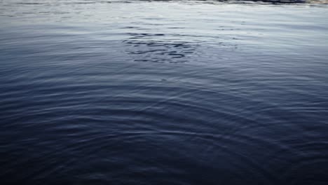 natural fresh dark water shines, reflects and ripples on surface of lake, static close up