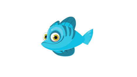 blue fish swiming sealife animation