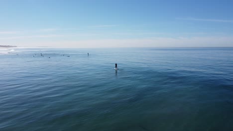 a beautiful aerial drone shot, drone tracking a man paddling with his sup board in the ocean close to the beach, carlsbad state beach - california