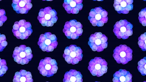 Glowing-purple-and-blue-flower-pattern-on-black-background