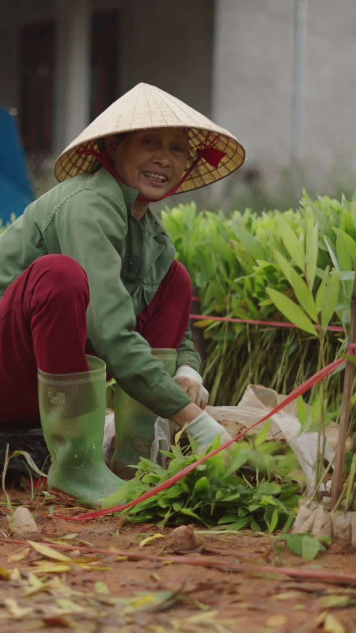 Woman farming in Vietnam