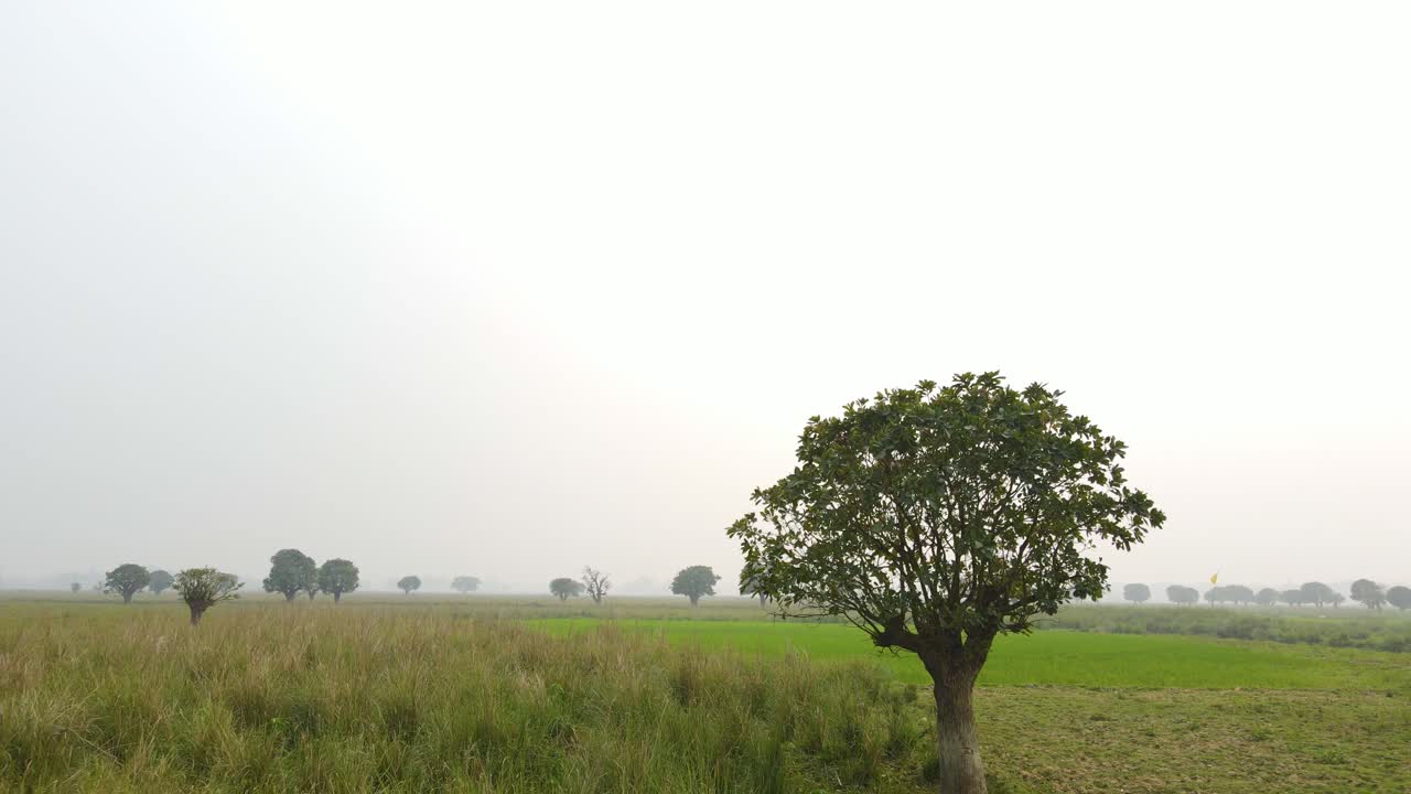 습지 위 를 날아다니는 공중 드론