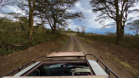 Driving-An-Open-Topped-Safari-Vehicle-Through-Dirt-Road-Of-Lake-Nakuru-National-Park-In-Kenya