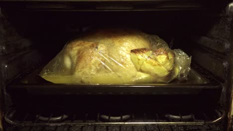 shot of delicious fried chicken and potatoes with broth underneath in oven