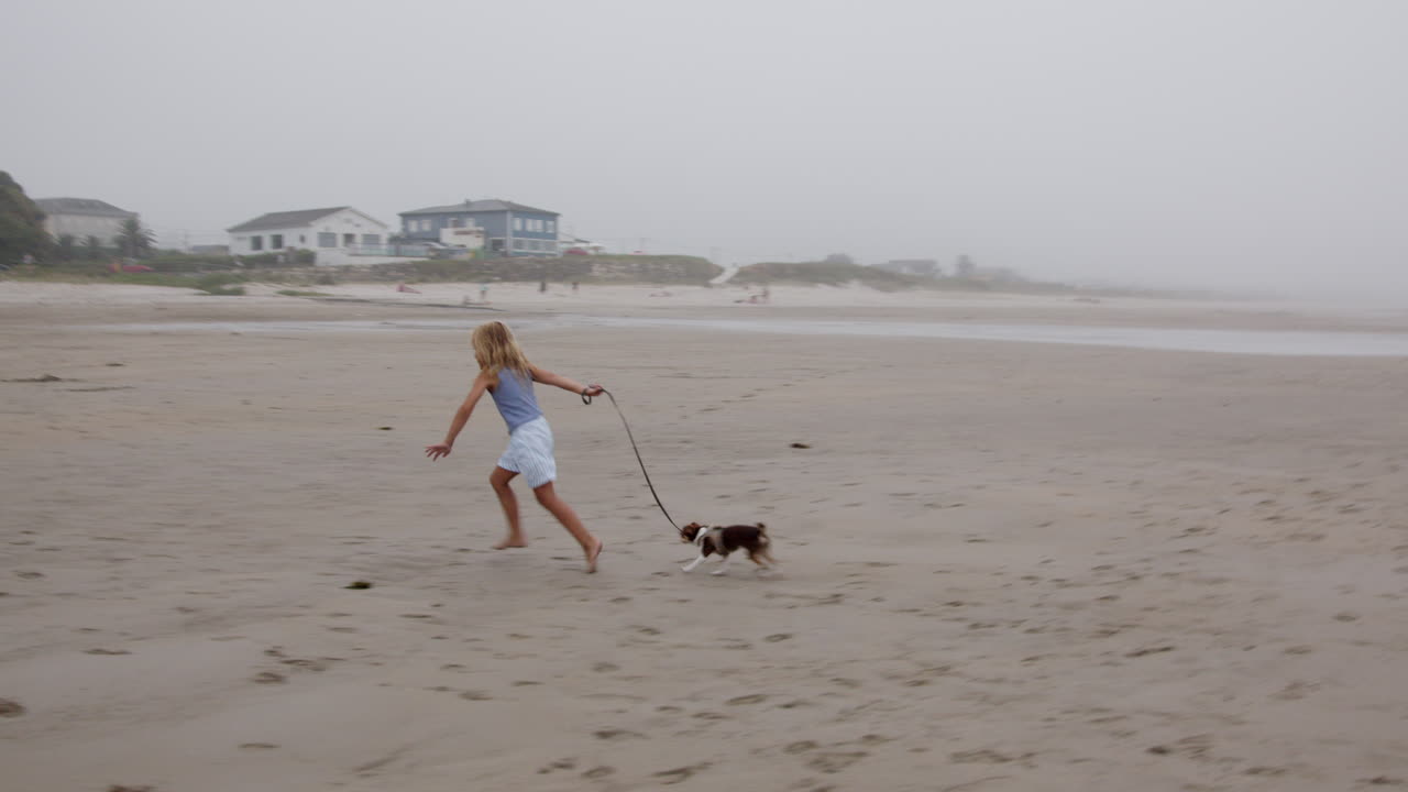 Ragazza e cane che giocano sulla spiaggia