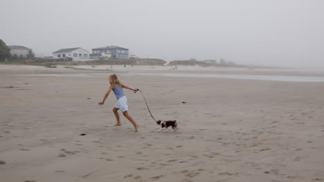 niña y perro jugando en la playa.