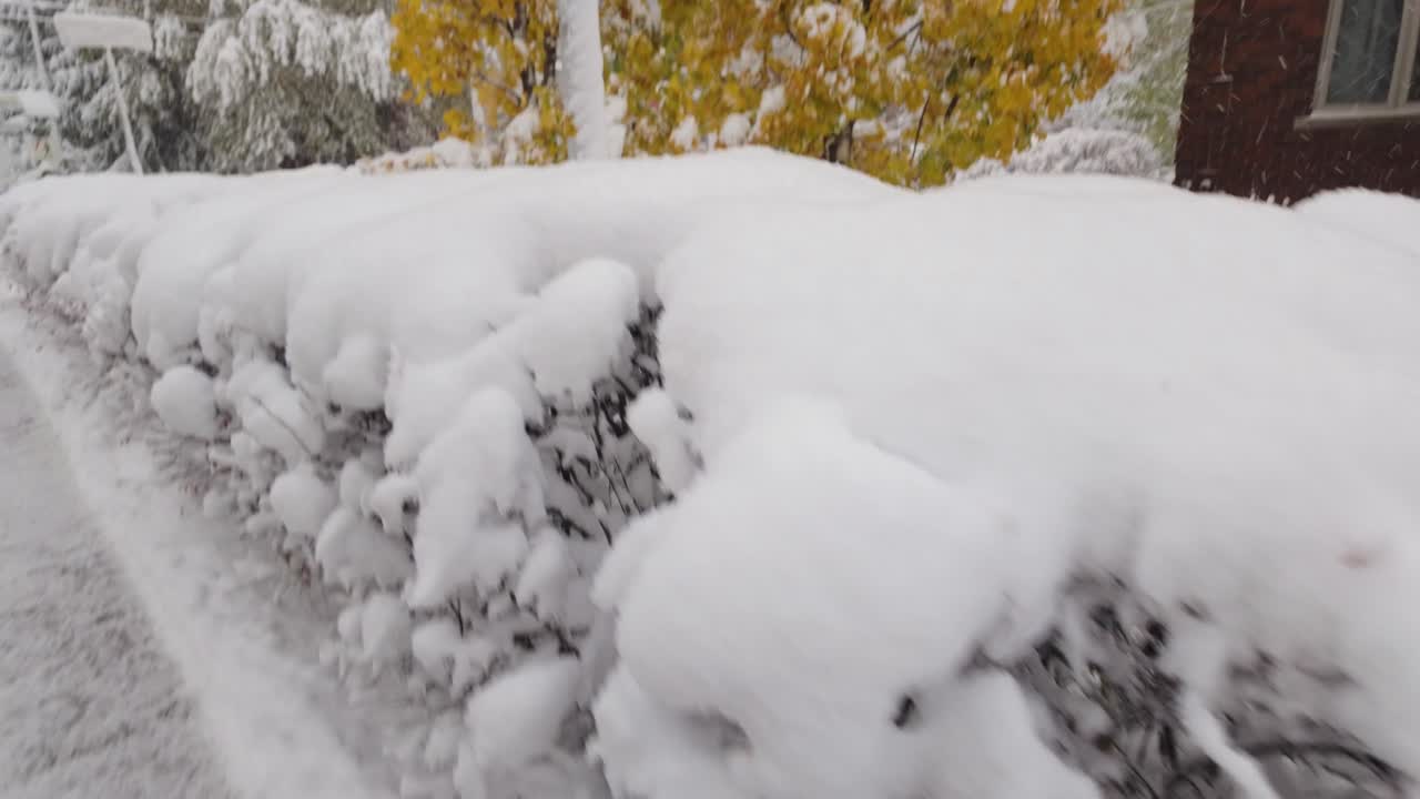 Snow Falling On The Trees With Autumn Leaves And House In Winter. - POV shot