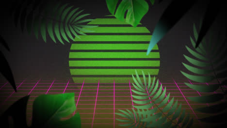 animation of green plants over grid and digital sun