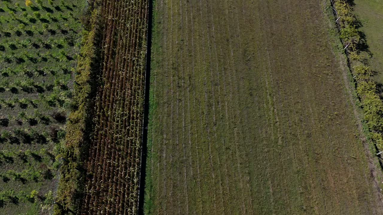 Aerial farmland view showing cultivated fields, crops, and grassland in a rural landscape