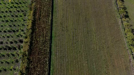 aerial farmland view showing cultivated fields, crops, and grassland in a rural landscape