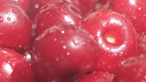 Close-up of Fresh Red Cherries