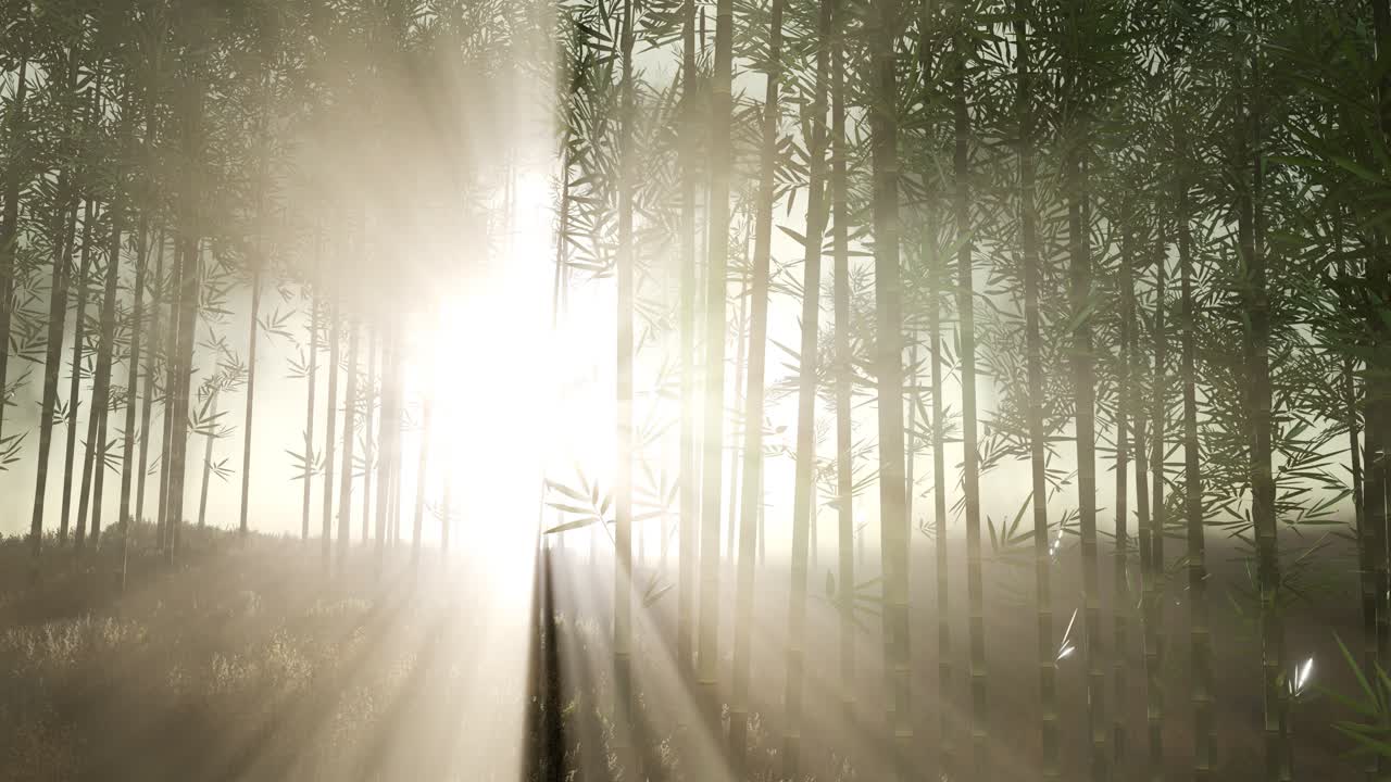 зеленый бамбуковый лес на холмах