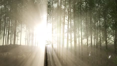 green bamboo forest in hills