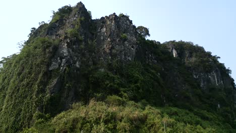 rocky mountain with lush vegetation