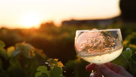 un vaso de vino girando en el viñedo al atardecer