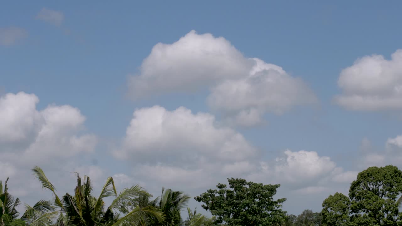 발리의 우부드 (ubud) 의 정글 하늘 위에 큰 은  구름의 시간 경과