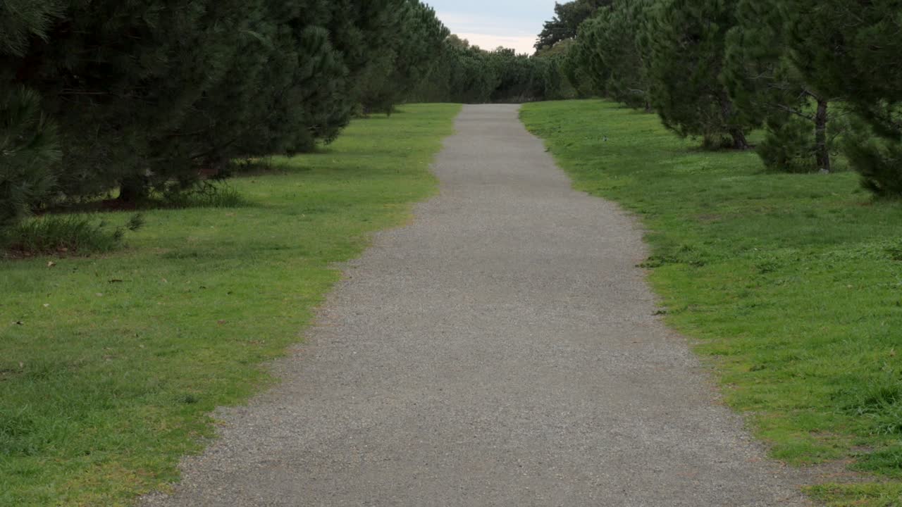 Geelong Botanical Gardens Pathway. 4k footage.