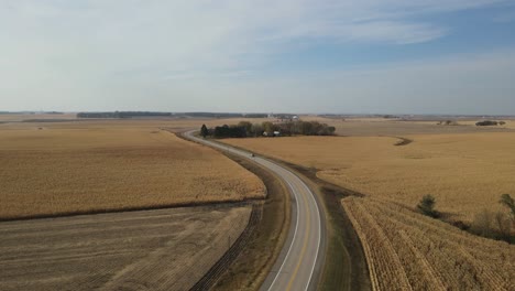 aerial shot of car driving on road between cornfields during late fall