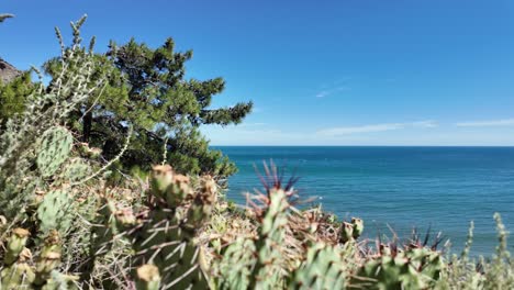 A-scenic-view-of-the-Black-Sea-from-a-cliff-in-Karadag,-Crimea