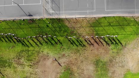 Drone-shot-sliding-overlooking-a-uniform-line-of-athletes-doing-jumping-jacks-while-the-sun-shines-on-their-back-creating-a-shadow-in-front-of-them