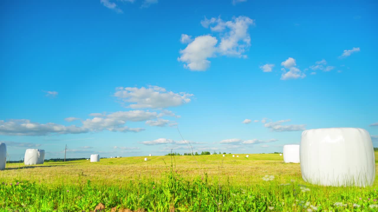 시골 풍경과, 크레인과 함께 타임 스