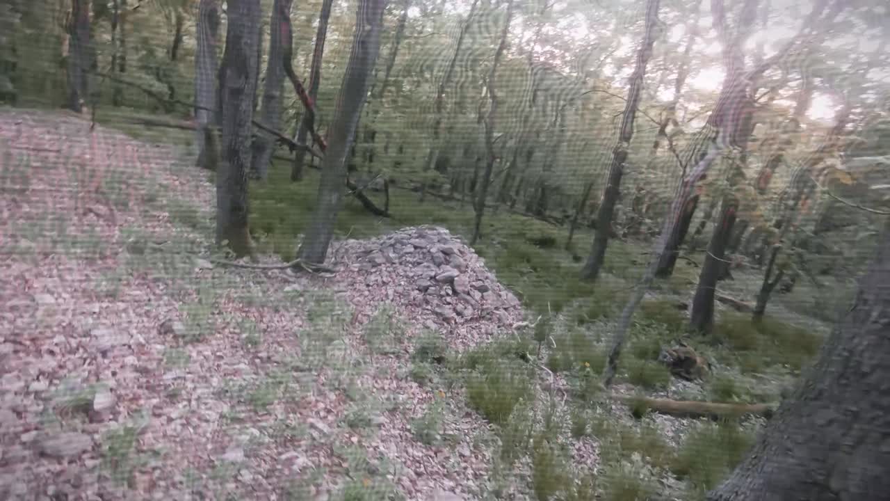 ver alucinaciones energéticas en un montón de piedras en un bosque.