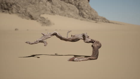 a dead tree lies in the sand of a desert