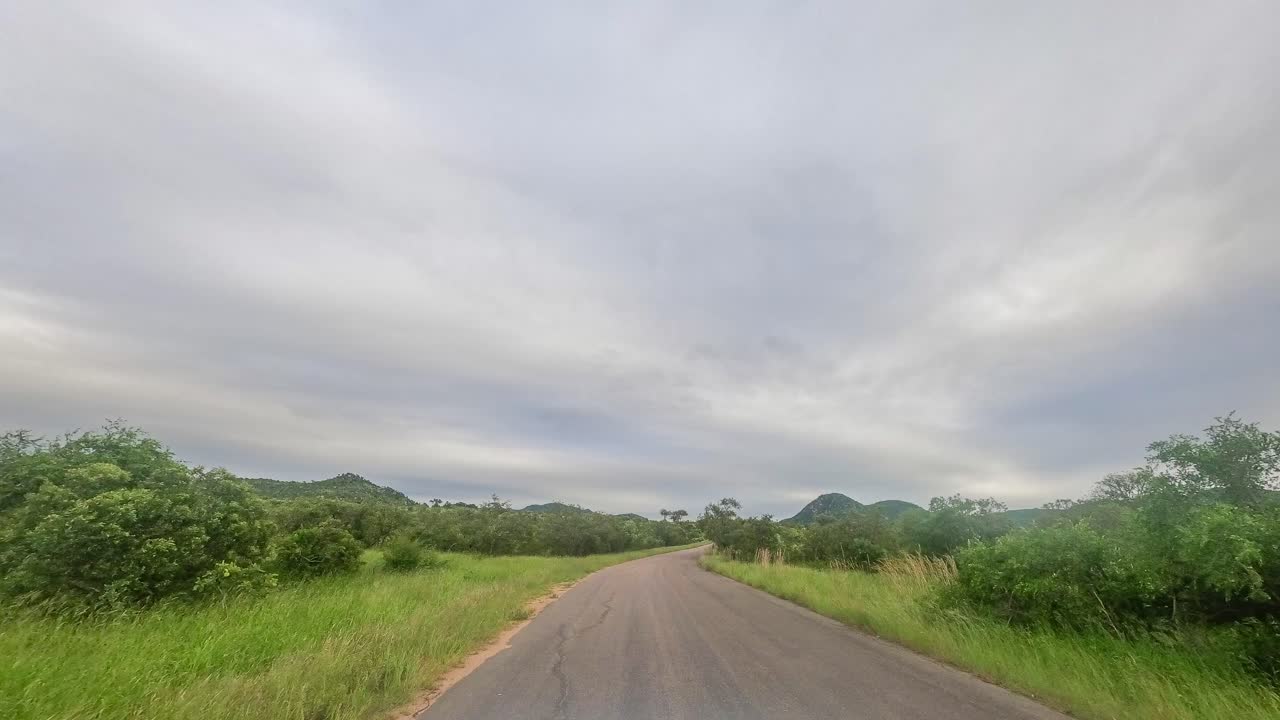 크루거 국립공원을 통과하는 포장도로에서 시간 경과 운전 pov