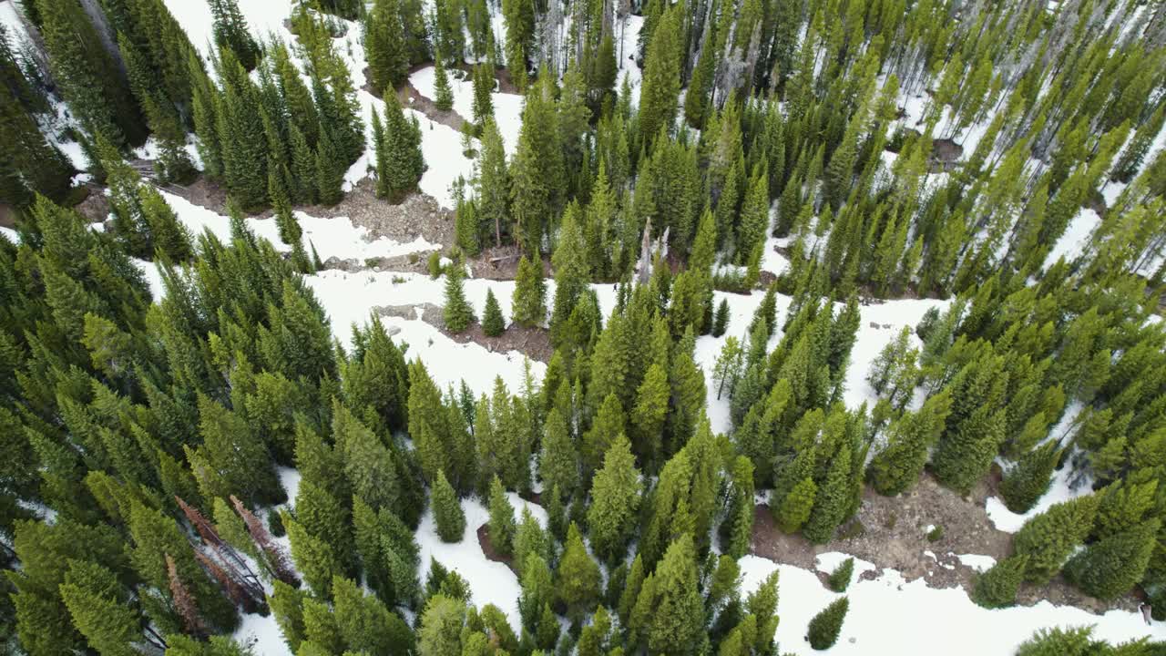 vista aérea de tres excursionistas siguiendo un sendero cubierto de nieve en un bosque nevado.