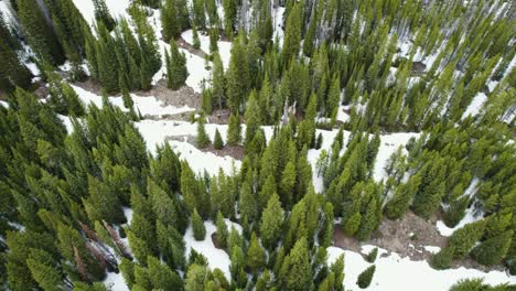 aerial view of three hikers following snow covered trail in snowy forest