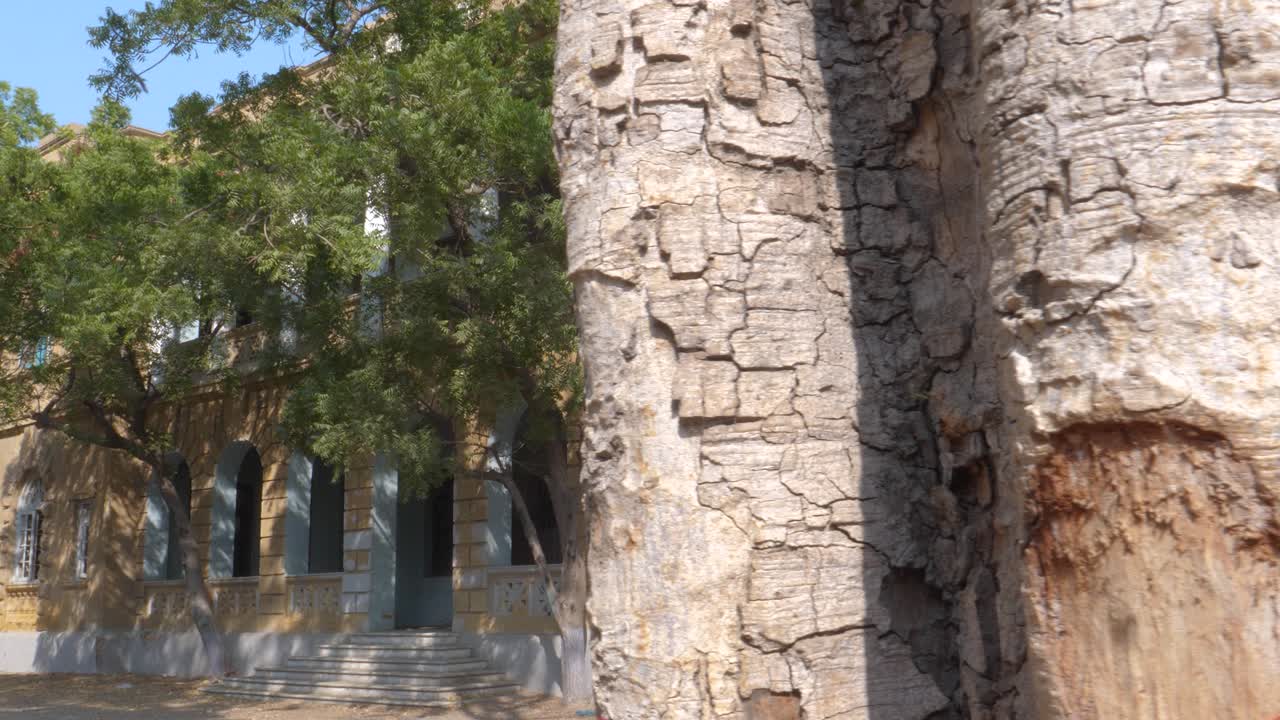 el hogar de maternidad envejecido de goolbai en medio de la vegetación, karachi