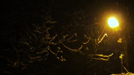 noche de invierno