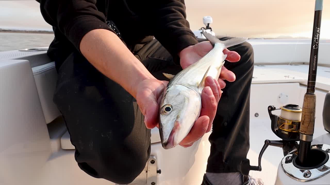 close up of a fisherman holding a bonefish, sunset
