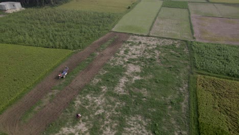 agricultural tractor plowing a field
