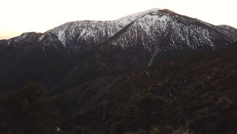 飞过加利福尼亚州赖特伍德的山树,背景是雪山