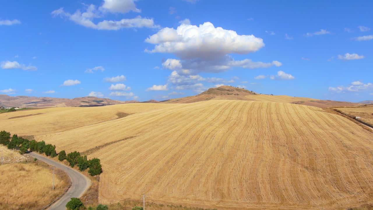 vasto campo de trigo amarillo con carretera de tráfico vacía y colina en la parte trasera en un día soleado