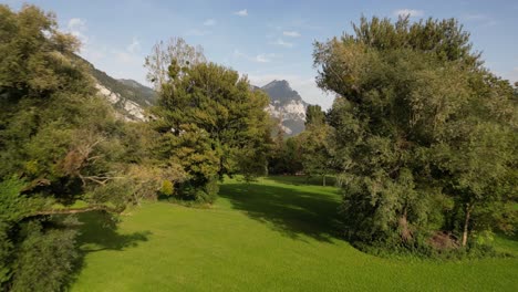 zoom en la toma del bosque con vista al lago y la cumbre de la montaña