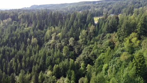 Drone-reveal-of-a-forest-in-Washington-along-the-Snoqualmie-Valley-Trail