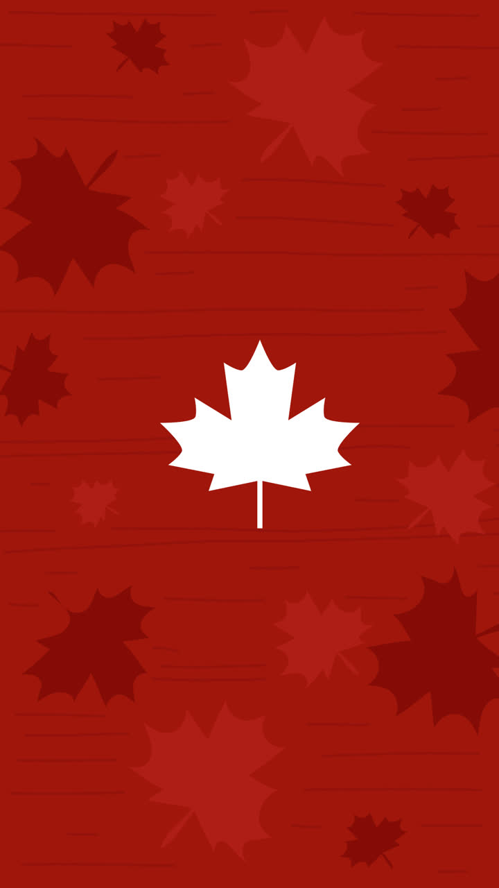 Motion Graphic of Canada day lettering concept