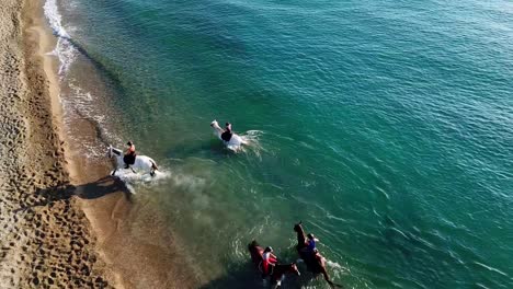 空中無人機上下顯示一群馬在夏天靠近海灘的藍色海水中享受樂趣