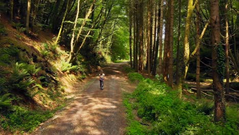 woman walking in the forest on a sunny day 4k