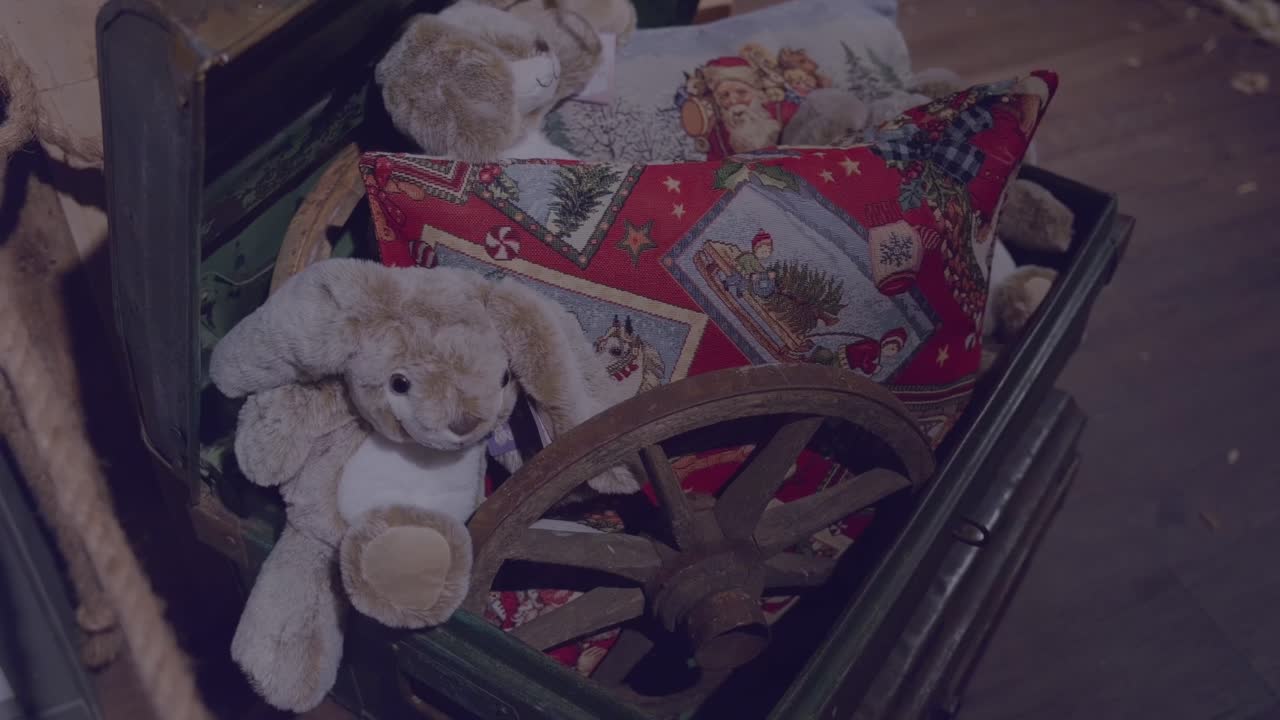 Trunk with Christmas decoration in Schilliger in Gland Switzerland