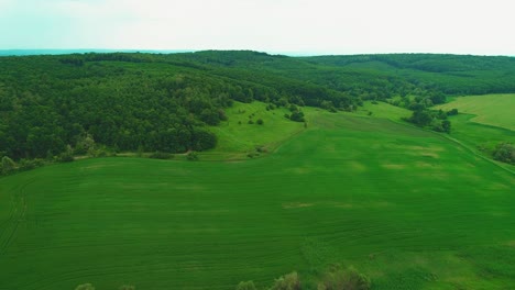 aerial view, circling above vivid green fields. thick-set forest. copy space. 4k.