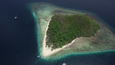 aerial view of a heart-shaped tropical island in the philippines, fringed with clear turquoise waters and lush green foliage, set in a serene ocean paradise.