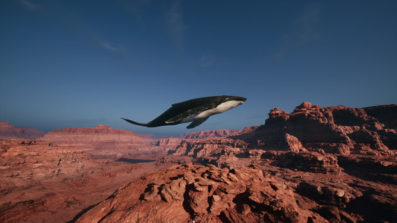 사막 협곡 위 를 날아다니는 고래