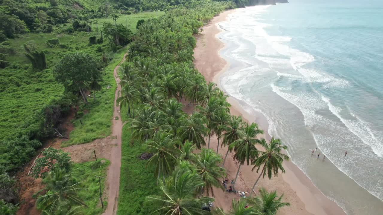Aerial View of Pristine Tropical Playa Pui-Puy Beach and Palm Tree Jungle