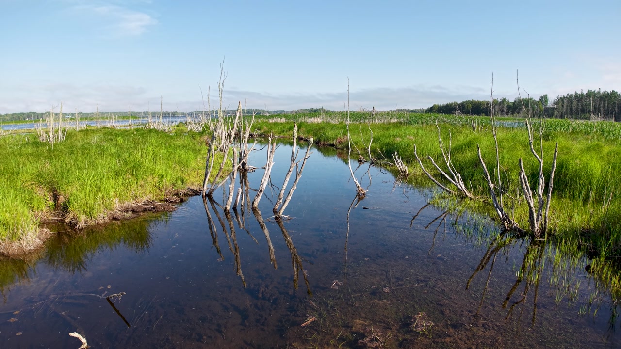 Aerial drone footage of a wetland marsh with calm reflective water, green grasses, and scattered deadwood in Michigan’s Upper Peninsula.