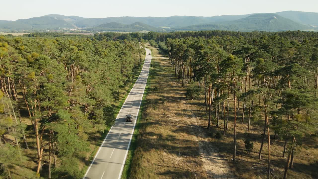 coche fuera de carretera que pasa por la carretera de asfalto en el bosque de pinos