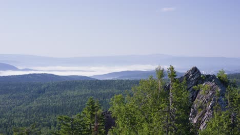 mountain view with foggy valley and lush forest