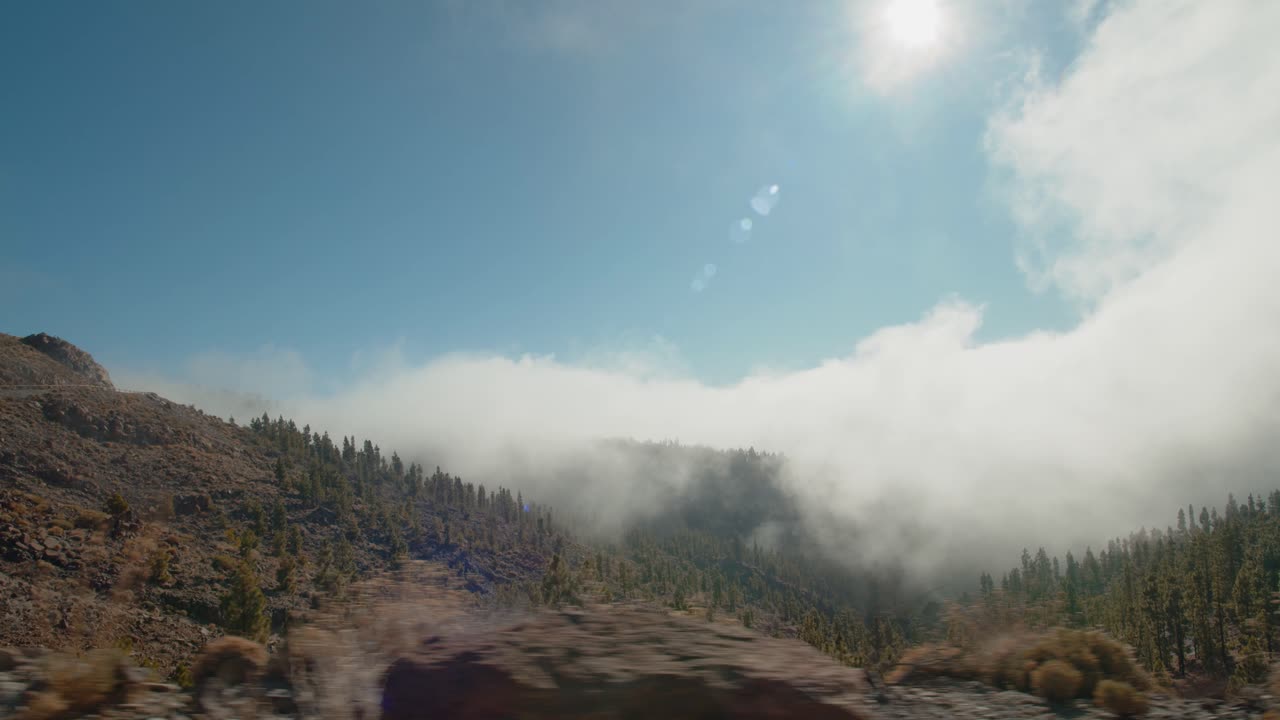 una hermosa vista de una ladera de montaña con pinos cubiertos de nubes esponjosas